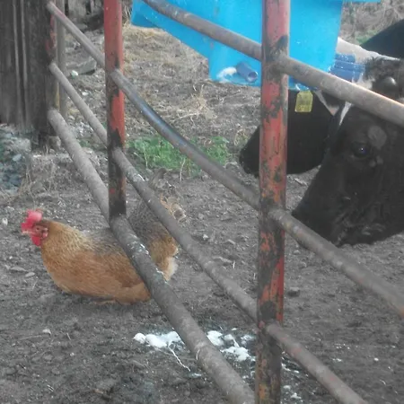Farma Castleview Farm