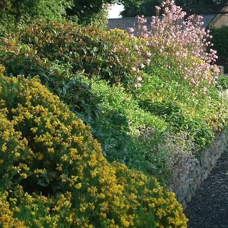 Castleview Farm *