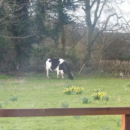 Castleview Farm Farma *